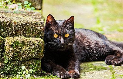 科幻潜行动作《钢铁之种》延期 解决主机版技术问题